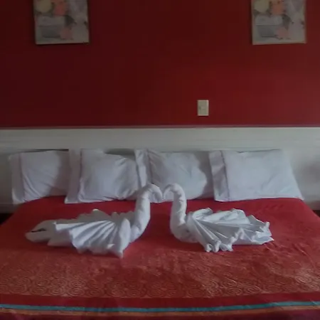 Hotel Raldos Inn Salamanca Room photo